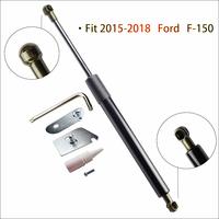 DZ43204 Tailgate Assist Shock Struts For 2015 2016 2017 2018 Ford F-150 Truck